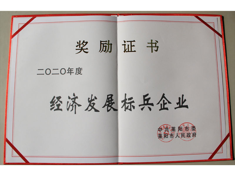 2020年经济发展标兵企业